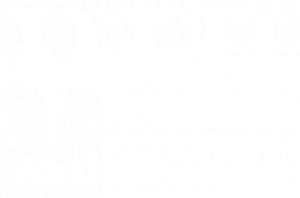 World Spa Reviews Logo