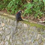 V Wellness Spa, Andaman Hotel, Malaysia Spa Review