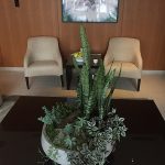 Willow Stream Spa Review