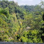 Royal Pita Maha Resort, Ubud, Bali - Spa Review